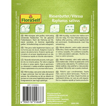 Zaadverpakking Riesenbutter/Vitessa Raphanus sativus