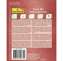 Sonata Mix Cosmos bipinnatus zaadpakket voor ongeveer 40 planten