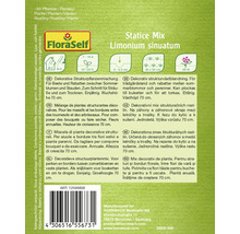 Statice Mix Limonium sinuatum zaadverpakking van FloraSelf