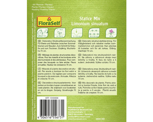 Statice Mix Limonium sinuatum zaadverpakking van FloraSelf