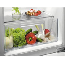 Groentelade in koelkast met venkel, sla, komkommers, paprika's, knoflook en champignons