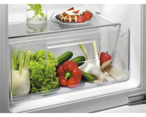 Groentelade in koelkast met venkel, sla, komkommers, paprika's, knoflook en champignons