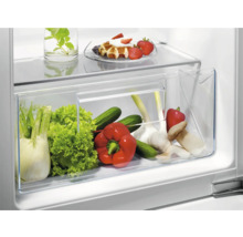 Groentelade in de koelkast met venkel, sla, komkommers, paprika's, knoflook en champignons