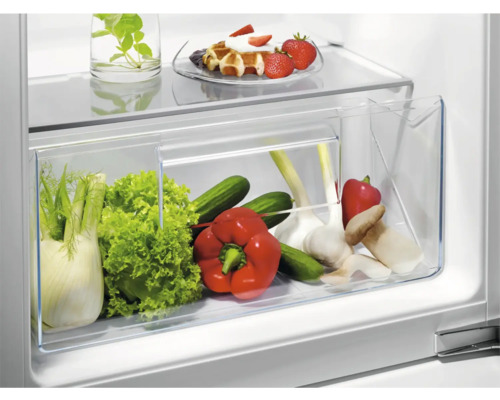 Groentelade in de koelkast met venkel, sla, komkommers, paprika's, knoflook en champignons