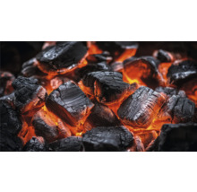 Gloeiende houtskool voor de barbecue