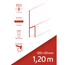Materiaaldikte minder dan 1,6 millimeter, nauwkeurigheid 1 millimeter per meter, profiel 120 bij 29 millimeter, schokbestendig, lengte 1,20 meter