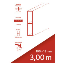 Productinformatie: materiaaldikte minder dan 1,2 mm, nauwkeurigheid 1 mm/m, profiel 100x18 mm, schokbestendig, lengte 3,00 m