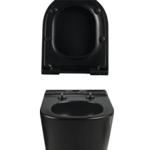 Zwart toilet met open toiletdeksel