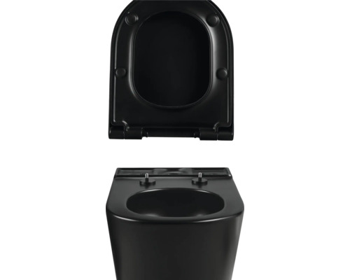 Zwart toilet met open toiletdeksel