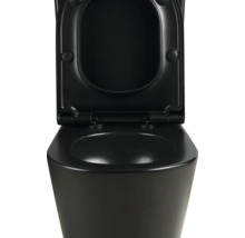 Zwart toilet met open deksel voor de badkamer