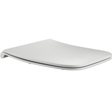 Toiletdeksel van kunststof