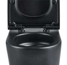 Zwart hangtoilet met open toiletdeksel.