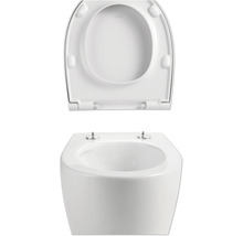 Wandcloset met toiletzitting