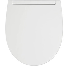 Toiletdeksel van kunststof