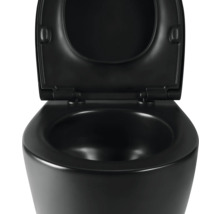 Zwart wandtoilet met open deksel