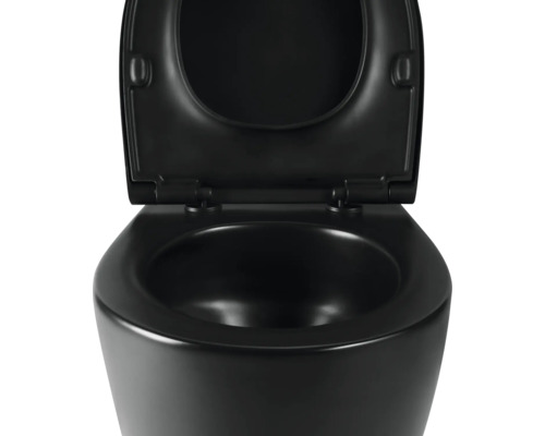 Zwart wandtoilet met open deksel