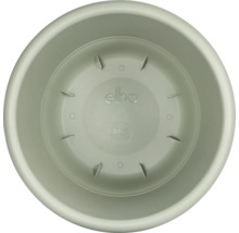 Binnenaanzicht van een ronde, groene bloempotonderzetter van het merk Elho