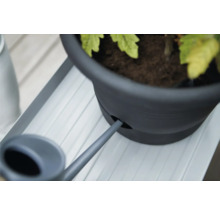 Gietkan vult een bloempot op een bloemenbank.