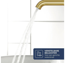 Waterkraan met verstelbare beluchter voor een gerichte waterstraal