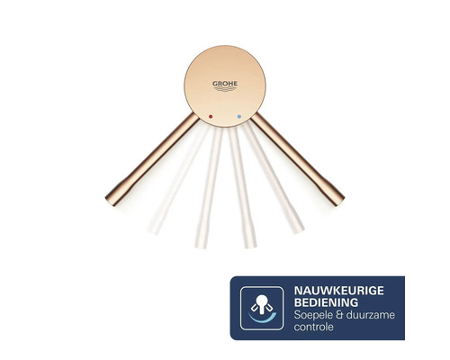 Grohe Logo op een kraan met flexibele bediening
