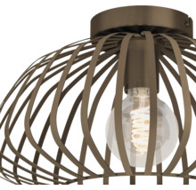 Plafondlamp met metalen kooi en gloeilamp