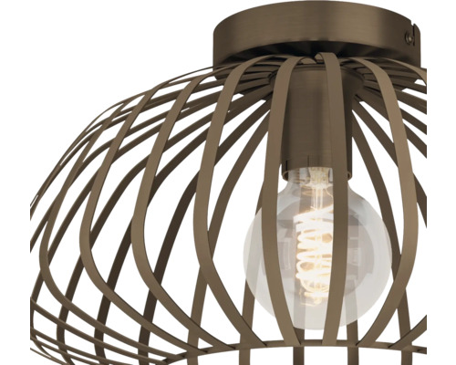 Plafondlamp met metalen kooi en gloeilamp