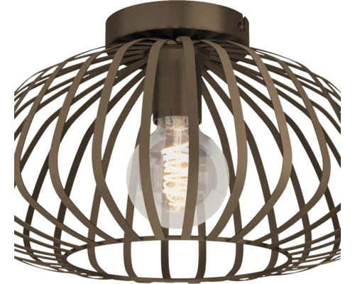 Plafondlamp met kooikap en gloeilamp