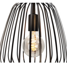 Hanglamp met decoratieve kooikap en gloeilamp