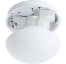 Witte plafondlamp met ronde glazen kap