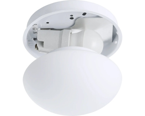 Witte plafondlamp met ronde glazen kap