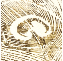 Detailopname van een behangpatroon met pauwenveermotief in geschetste look op een gestructureerd oppervlak.