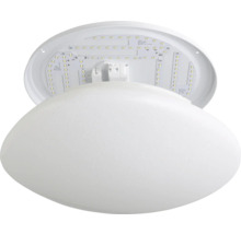 Plafondlamp met LED module
