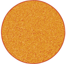 Cirkel van poreus materiaal