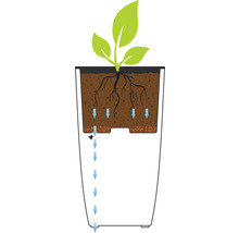 Illustratie van het bewateringssysteem van een plantenbak met plant