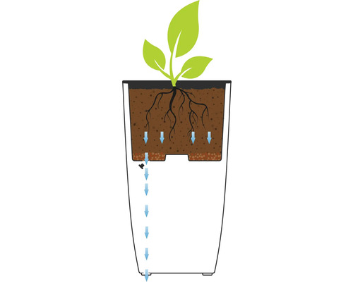 Illustratie van het bewateringssysteem van een plantenbak met plant