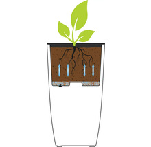 Illustratie van een plantenbak met irrigatiesysteem en plant