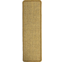 Sisal tapijt met rand