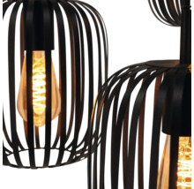 Gedetailleerde close-up van een zwarte hanglamp met kooiontwerp en lichtbron