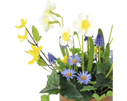 Bloemstuk met narcissen, blauwe druifjes en margrieten in pot