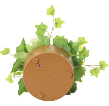 Onderaanzicht van een plantenbak met decoratie