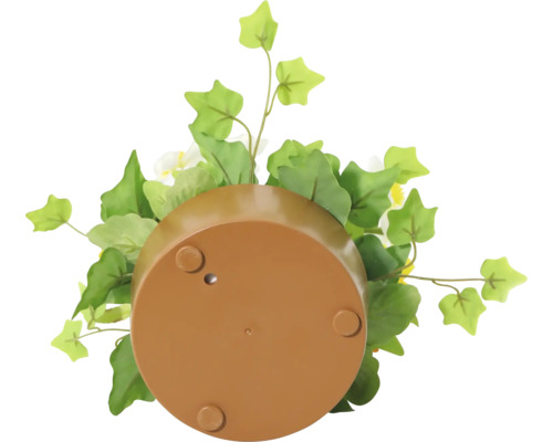 Onderaanzicht van een plantenbak met decoratie
