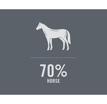 Illustratie van een paard met de tekst 70 procent paard