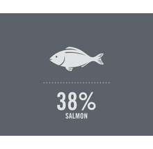 Symboolafbeelding: 38 procent zalm