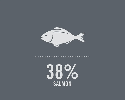 Symboolafbeelding: 38 procent zalm