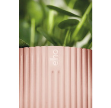 Detailopname van een geribbelde bloempot met Elho logo en planten