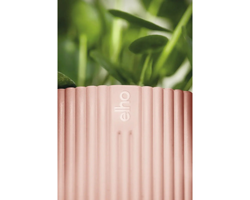 Detailopname van een geribbelde bloempot met Elho logo en planten
