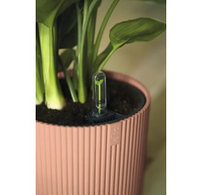 Bloempot met waterniveau-indicator