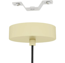 Hanglamp met afdekplaat en beugel