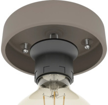 Plafondlamp met lamp