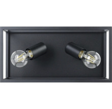 Wandlamp met twee lampen